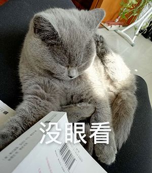 DƬ